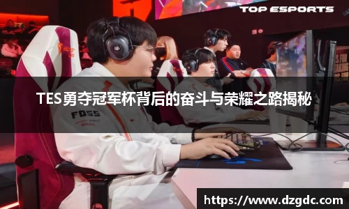 TES勇夺冠军杯背后的奋斗与荣耀之路揭秘